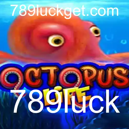 Explorando o universo imersivo de OctopusLife